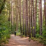 Middlesex Fells Reservation