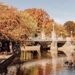 Boston Public Gardens