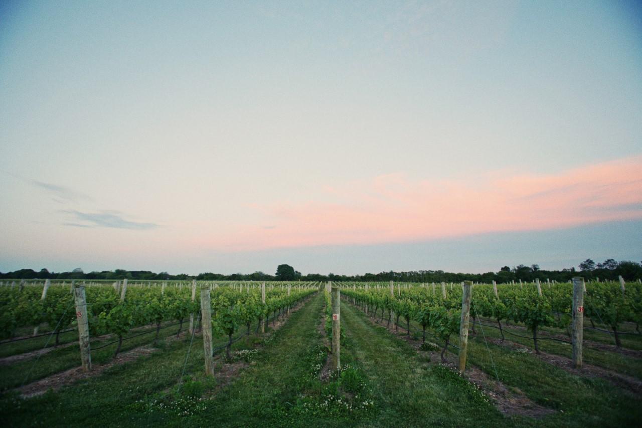 The Wedding Website of Lauren Smith and Sean O'Brien