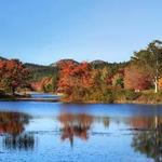 Little Long Pond