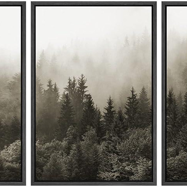SIGNWIN Framed Canvas Print Wall Art Woodland Nursery Decor Set Fog & Mist Over Blue Pine Tree Forest Nature Modern Art Rustic Landscape Colorful for Living Room, Bedroom, Office - 16"x24"x3 Black