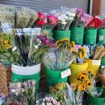 Rochester Public Market