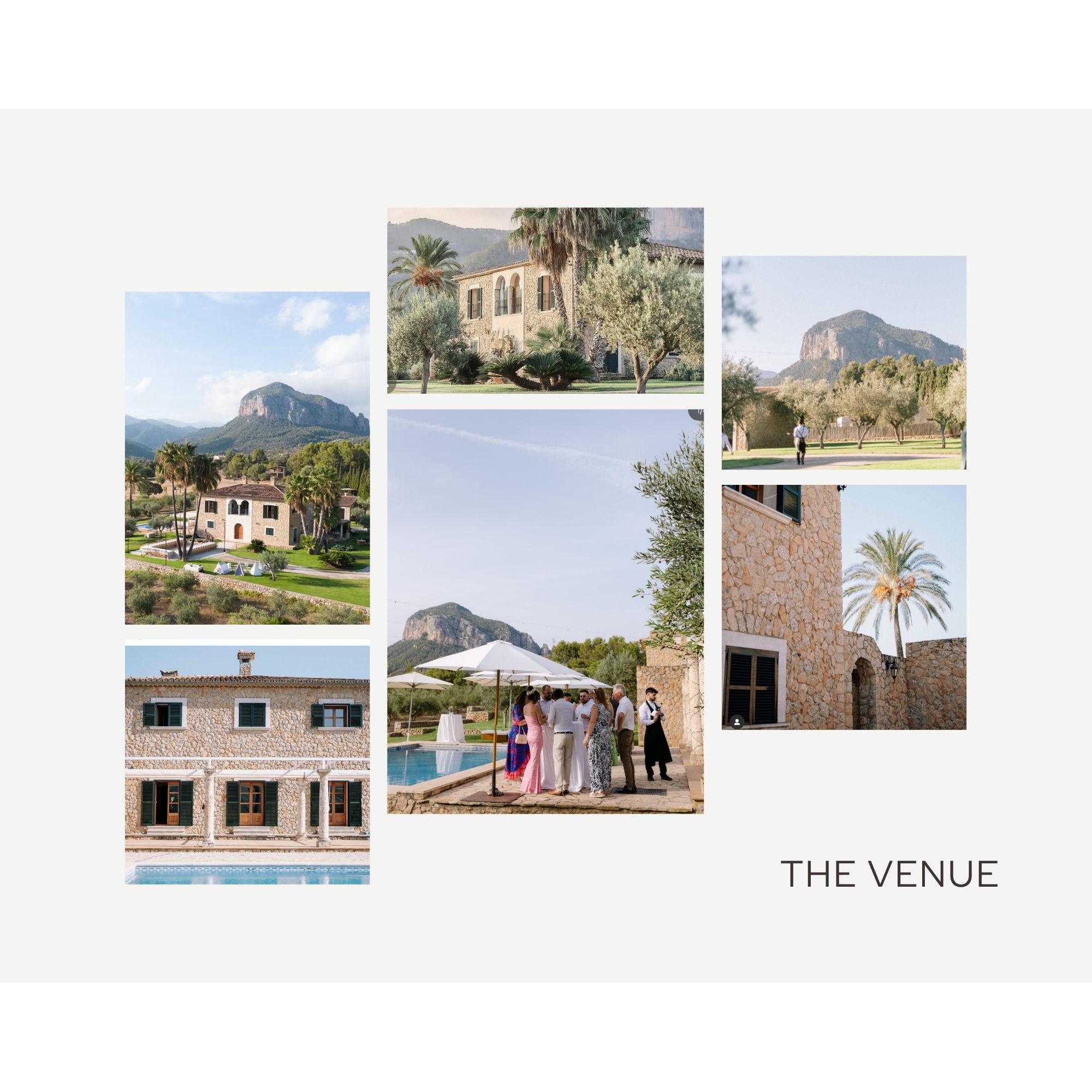 The Venue