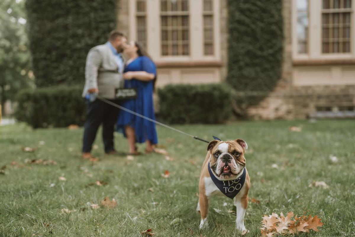 The Wedding Website of Michelle Ghanime and Bryan Van Fleet