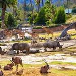 San Diego Zoo Safari Park