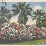Galveston Historical Foundation