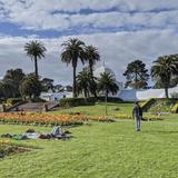 SF: Golden Gate Park