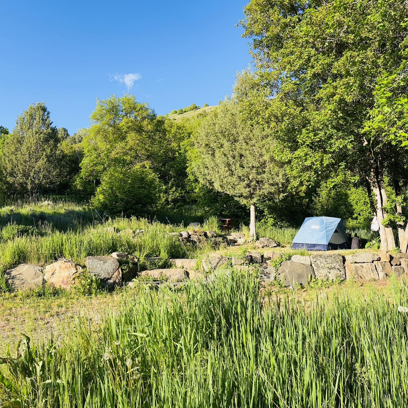 Camp site at Maple Grove Hot Springs, Idaho.