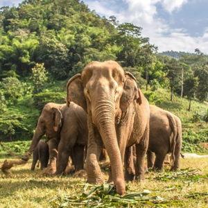 Visit to a Wildlife Sanctuary