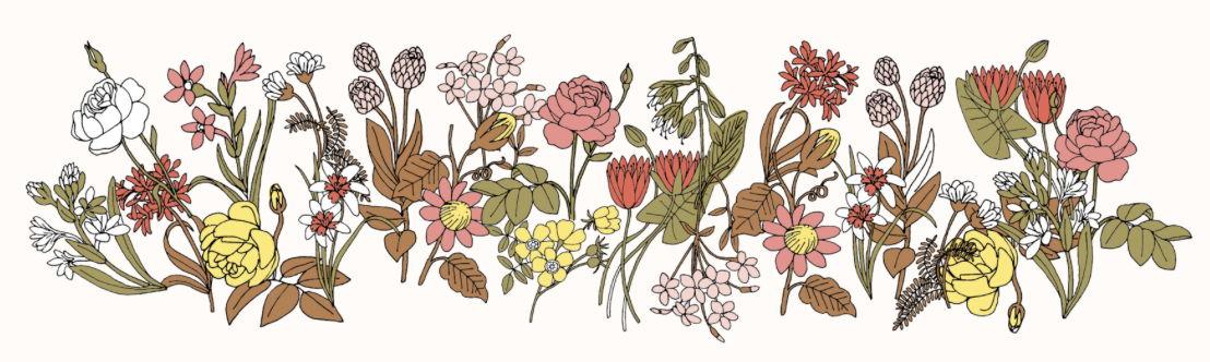 The Wedding Website of Maya Chandrasekaran and Tarun Ganesh