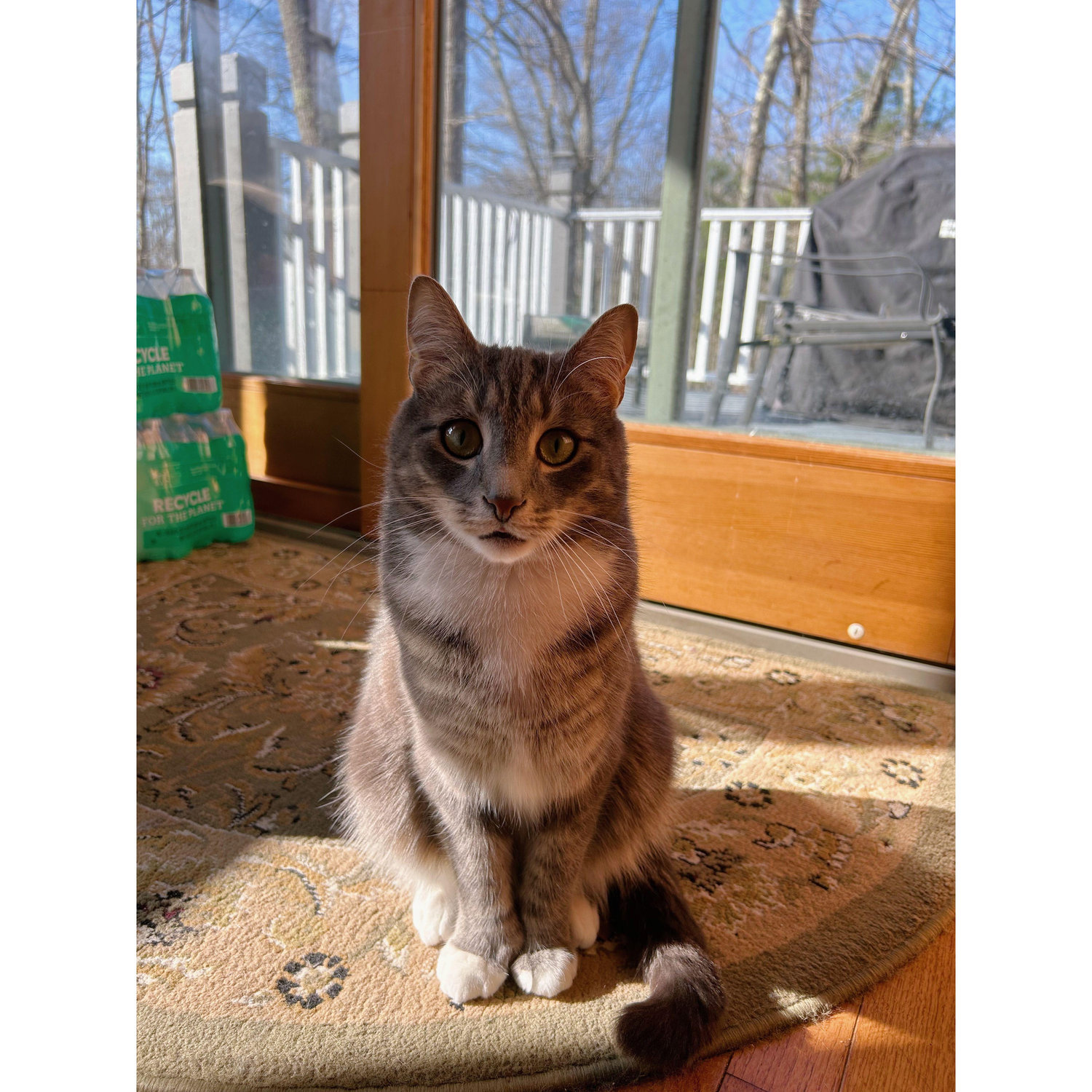The sweetest face!!