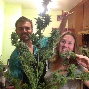 Another crop we grow!