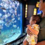 North Carolina Aquarium at Pine Knoll Shores