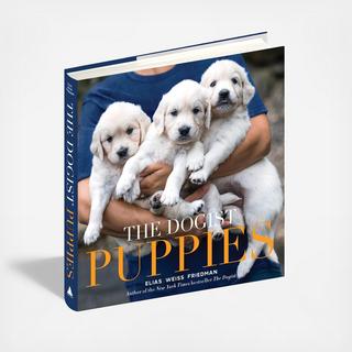 The Dogist Puppies