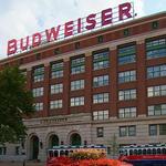 Budweiser Brewery Experience