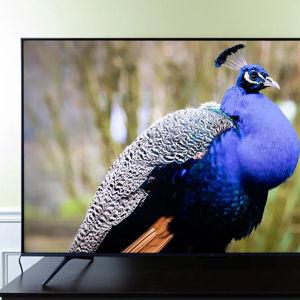 Mounted TV