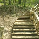 Frick Park