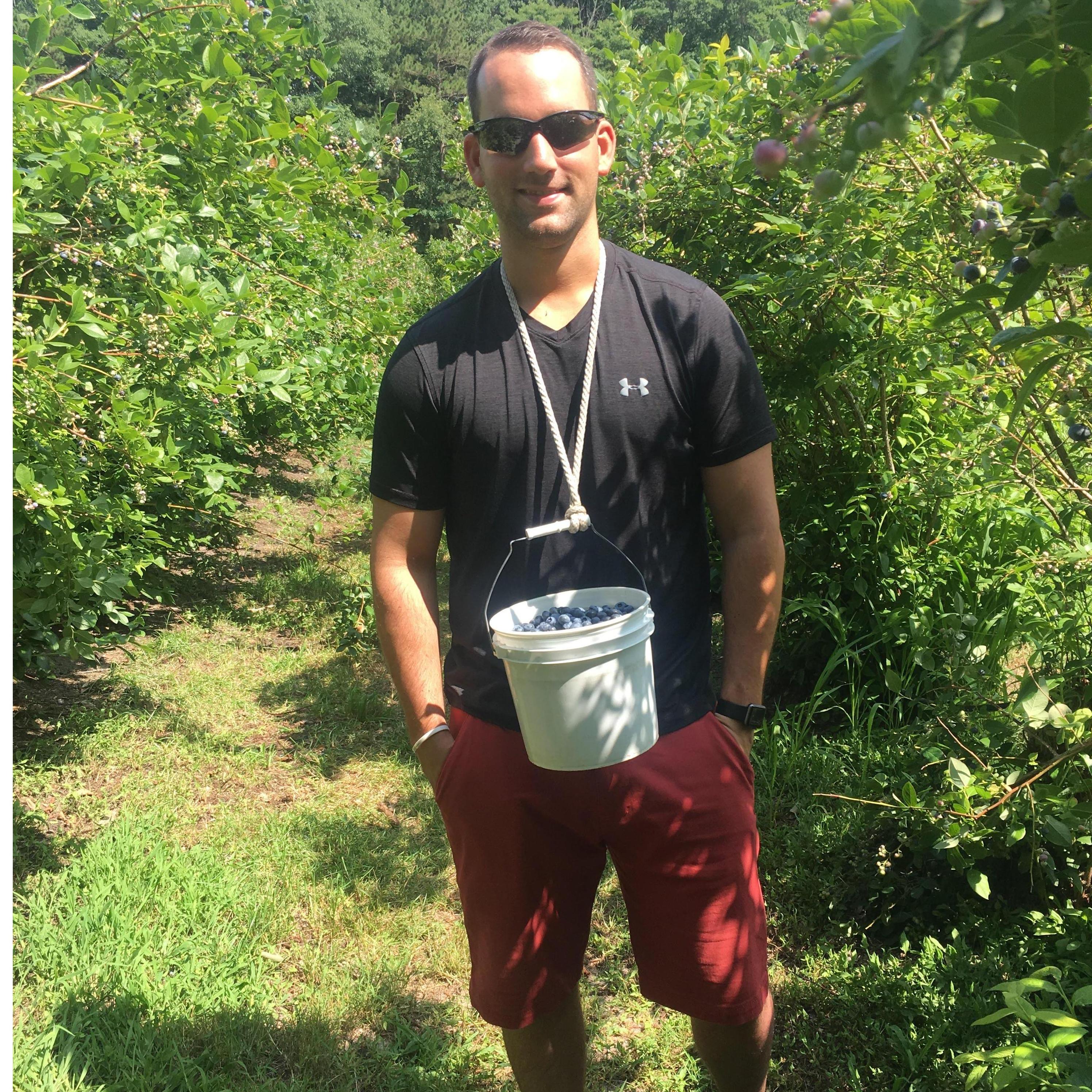 Blueberry picking. July 2018. @ New Buffalo, MI.