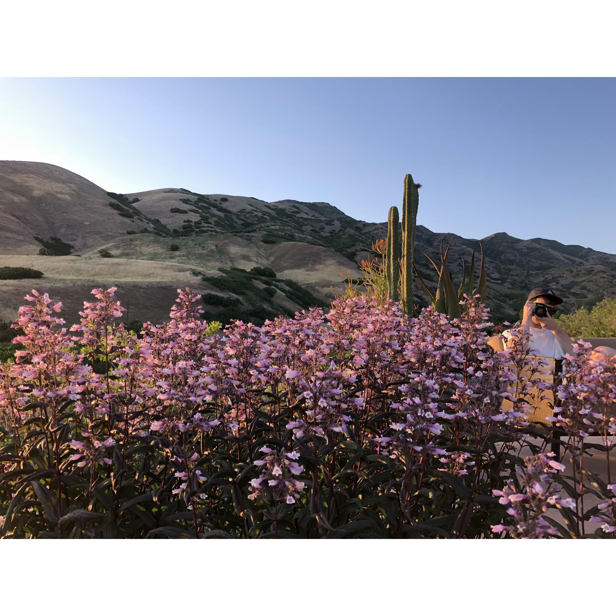 Red Butte Botanical Garden, Utah 2018