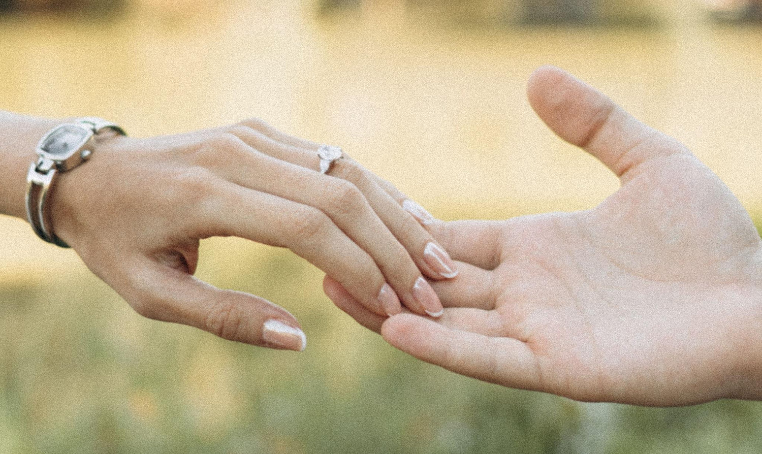 The Wedding Website of Manuela Duran and José Cohen
