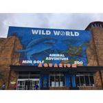 Bransons Wild World