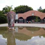 Zoologico Guadalajara