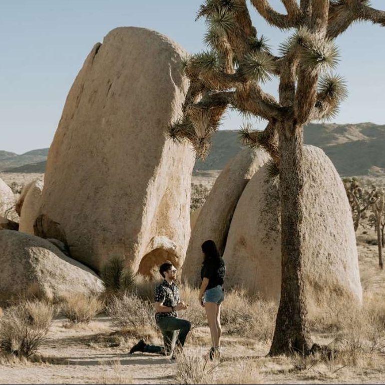 We got engaged at Joshua Tree National Park, California on September 19, 2024