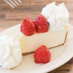 The Cheesecake Factory