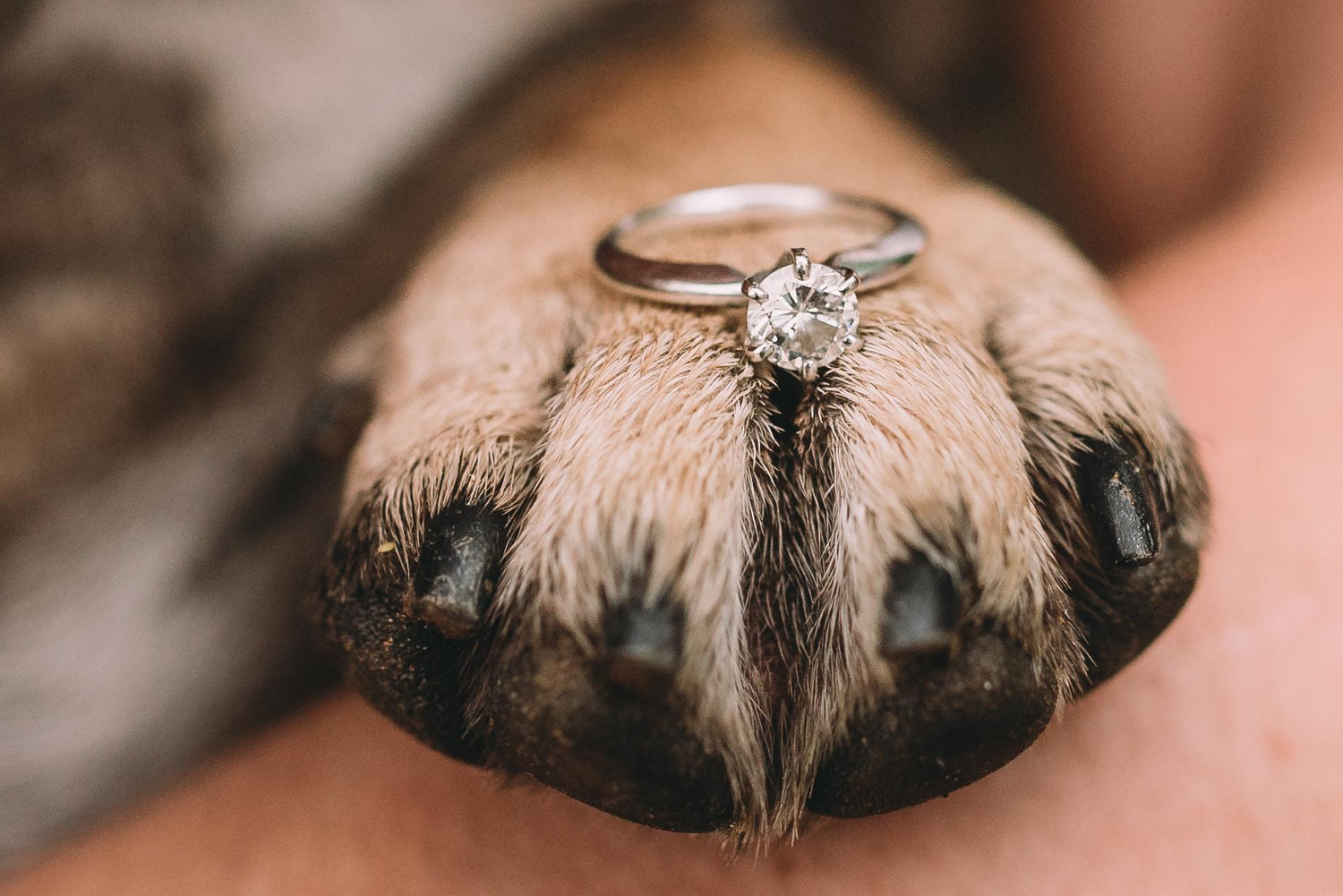 The Wedding Website of Mary Hall and Jacob Banister