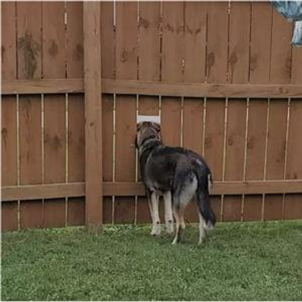Our Backyard Fence fund