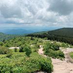 Black Balsam Knob