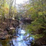 Umstead Park
