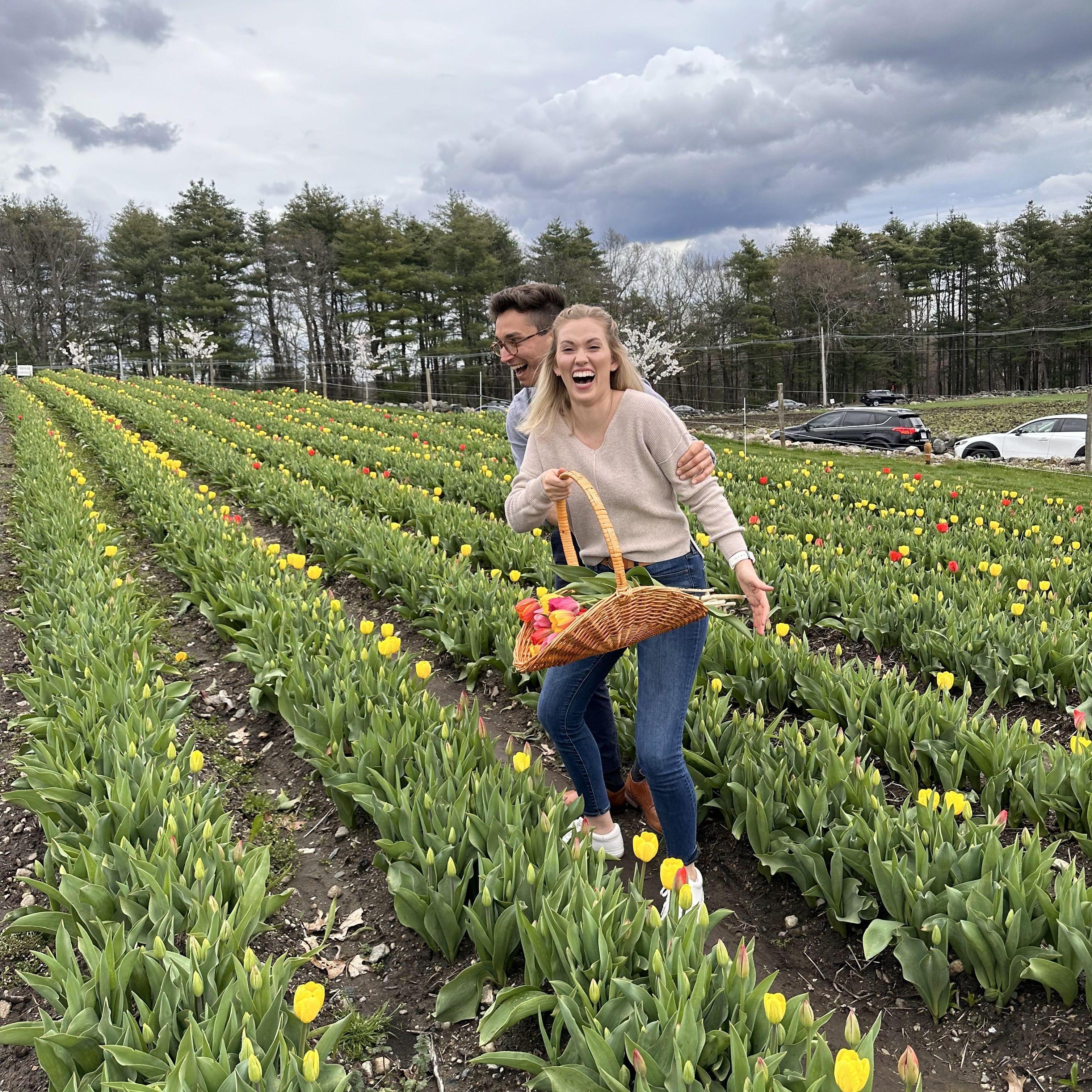 Tulip Picking, Hudson, April 2024