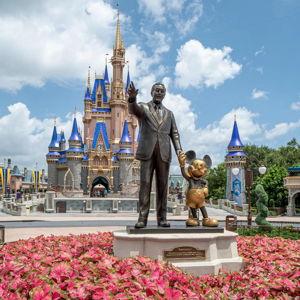 Magic Kingdom Park Ticket