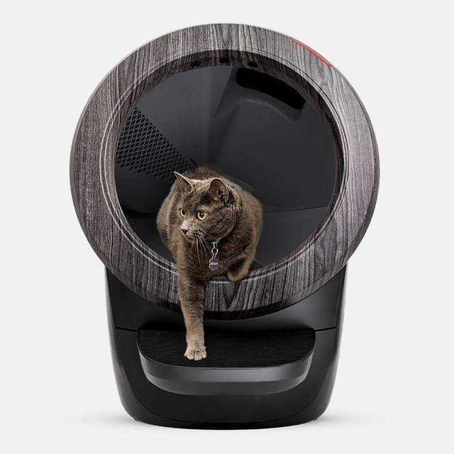 Litter Robot for Pippa, Opie, and Tina