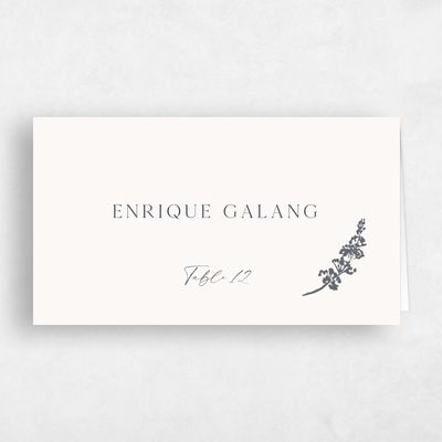 Beige Simple Wedding Place Card - Capri