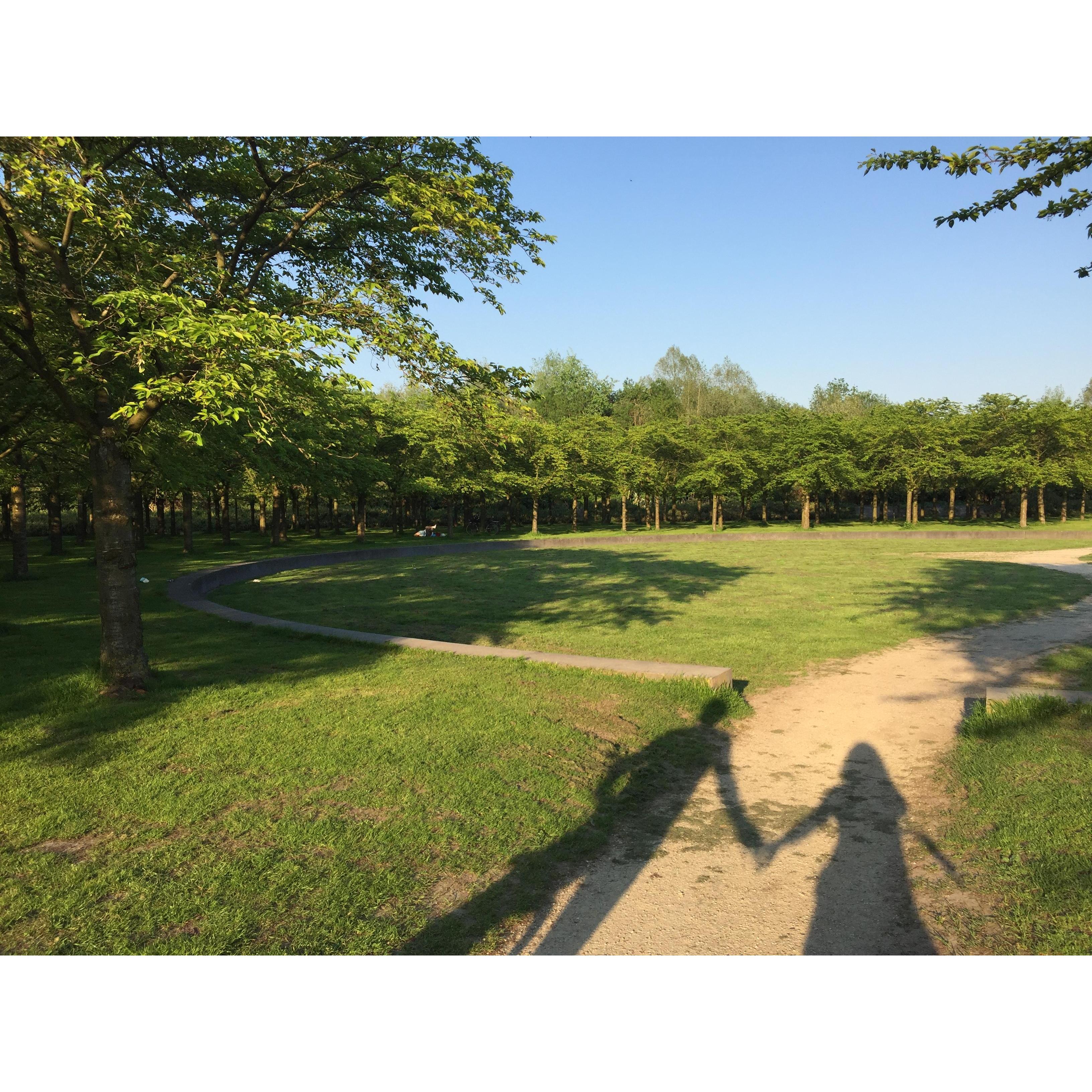 Amsterdamse Bos