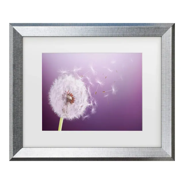 Trademark Fine Art - Bess Hamiti Dandelion Flying Matted Framed Art - 11x14