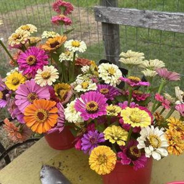 The Helms Garden Fund