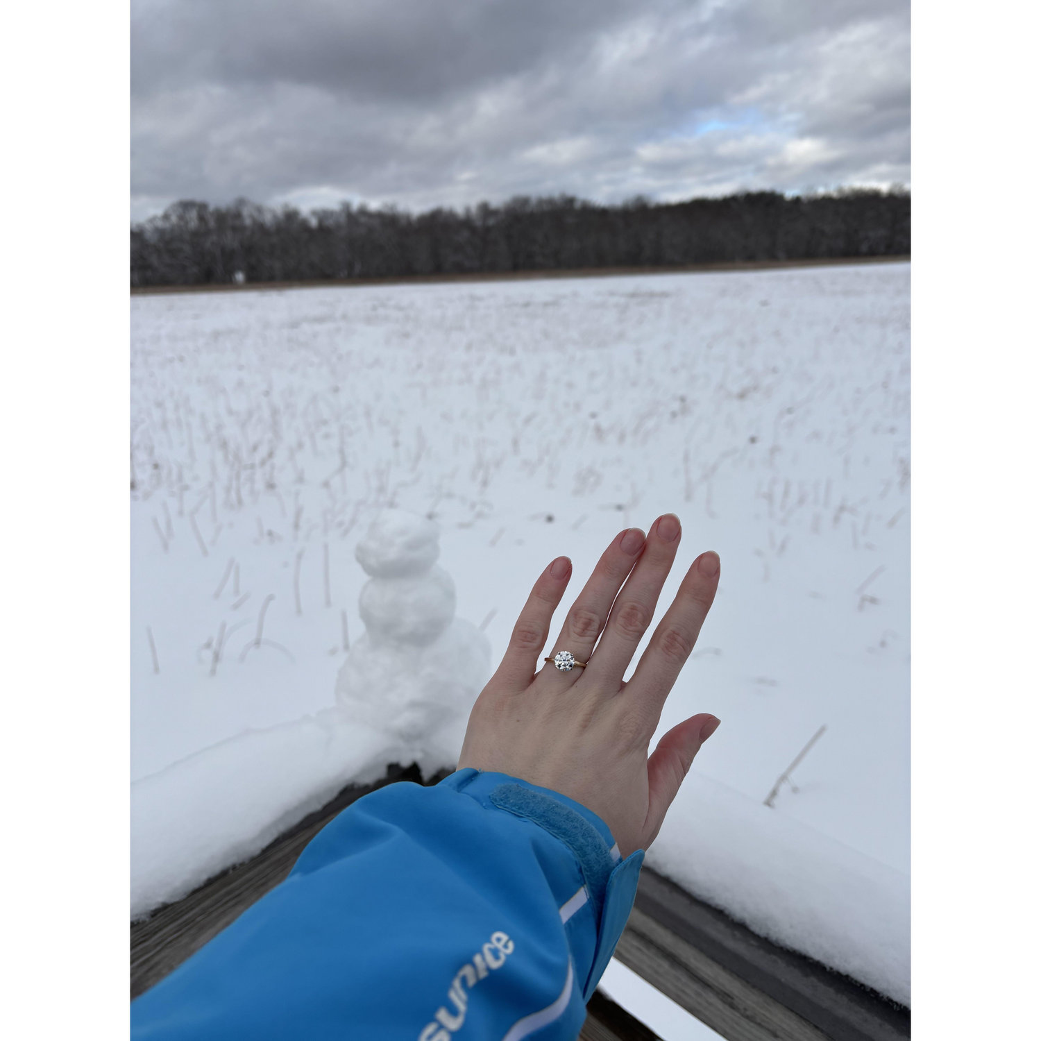 Engagement in February 2025