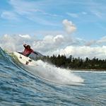 Tofino