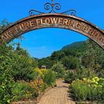 Lake Lure Flowering Bridge