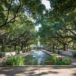 Houston Zoo