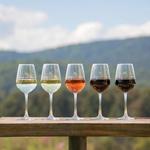 Virginia Wineries