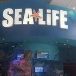 SEA LIFE Orlando Aquarium