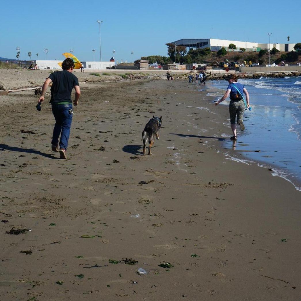 beach frolic - 2019