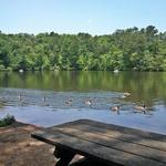Paris Mountain State Park