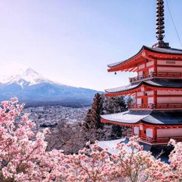 Our Honeymoon in Japan