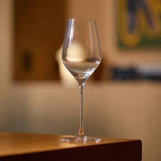 Pro Sparkling Wine Glass, Set of 4