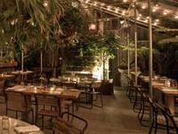 Terrain Cafe